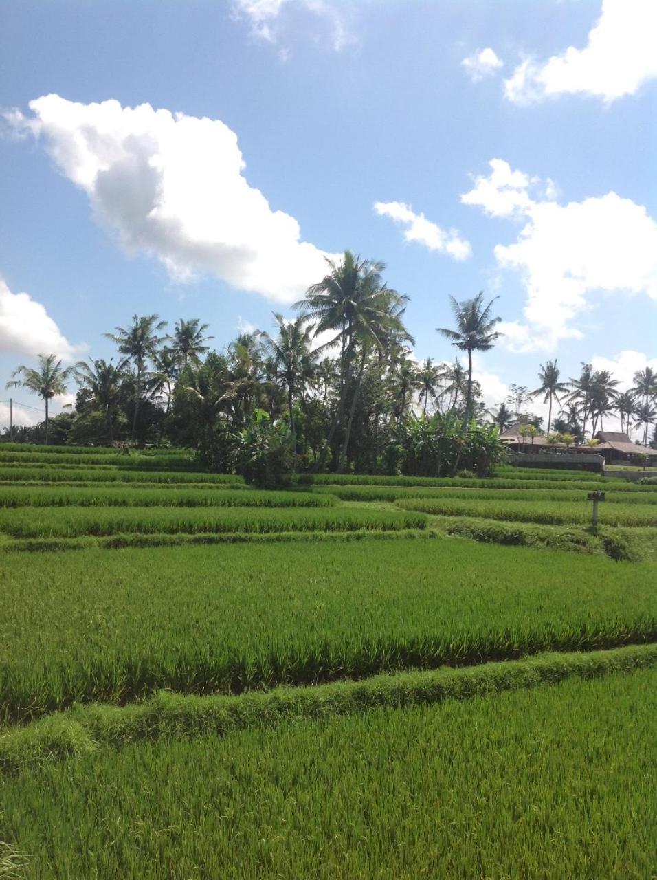 Uma Dhari Villa By Prasi Ubud Zewnętrze zdjęcie